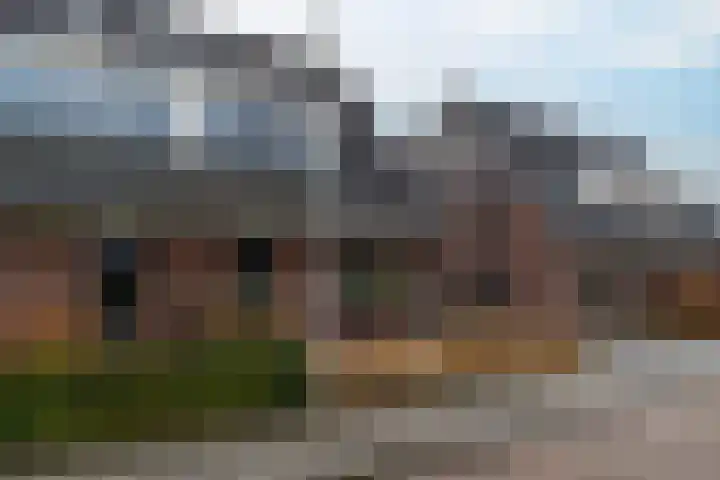Framboas 12 Sweagerbosk thumbnail 37
