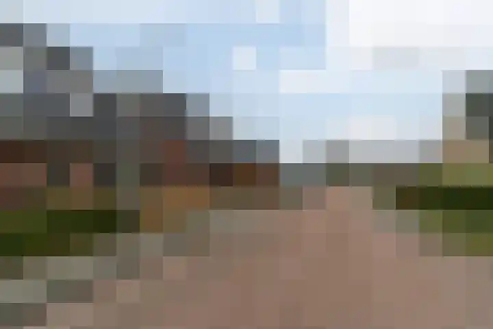 Framboas 12 Sweagerbosk thumbnail 6