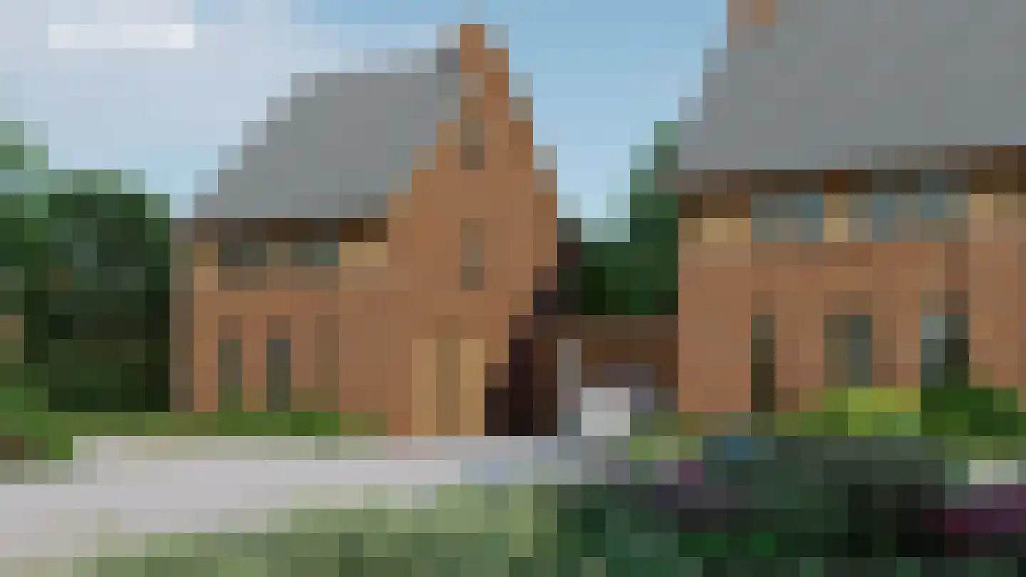 Framboos 41 Someren thumbnail 4