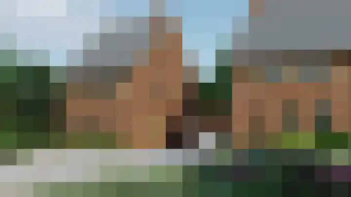 Framboos 43 Someren thumbnail 4
