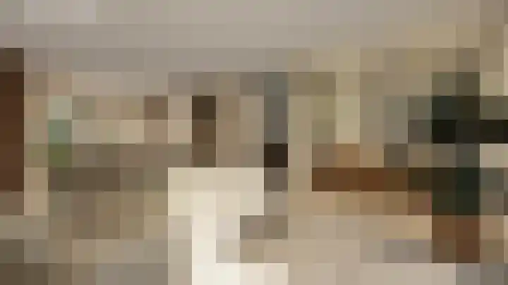 Framboos 43 Someren thumbnail 5
