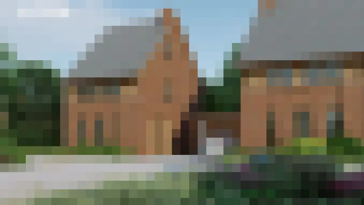 Framboos 45 Someren thumbnail 4