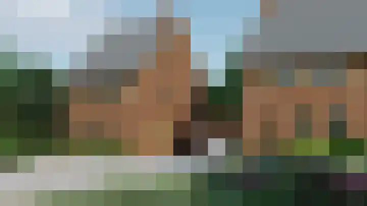 Framboos 45 Someren thumbnail 4