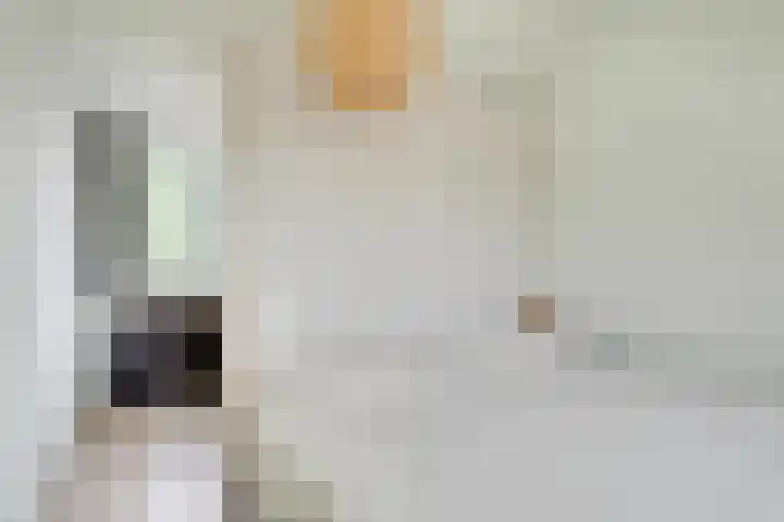 Framboosgaarde 6 Nieuwegein thumbnail 31