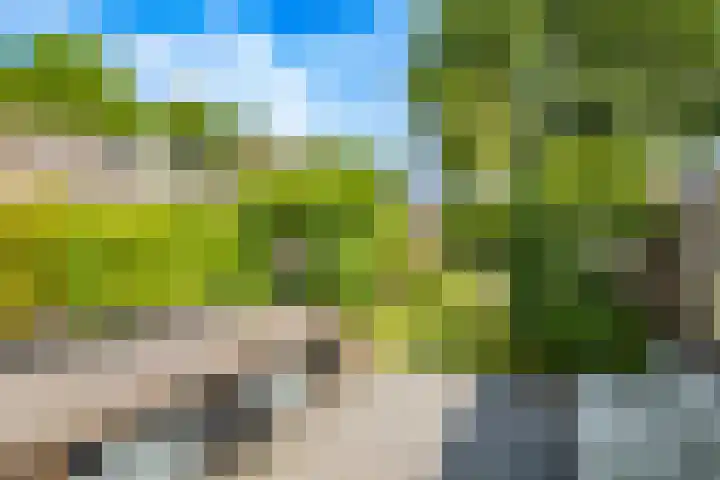 Framboosgaarde 6 Nieuwegein thumbnail 35