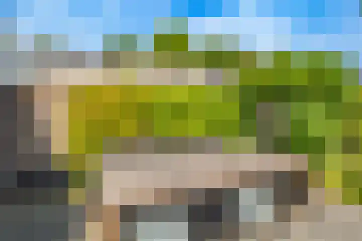 Framboosgaarde 6 Nieuwegein thumbnail 36