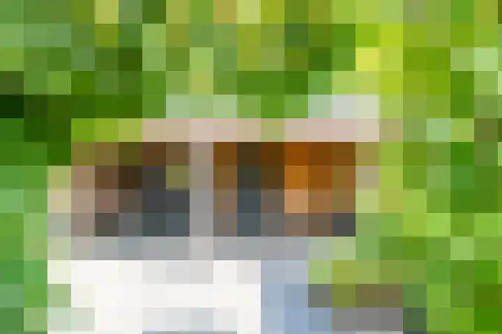 Framboosgaarde 6 Nieuwegein thumbnail 41