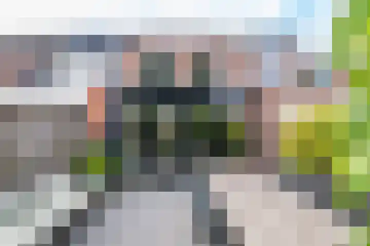 Framboosgaarde 6 Nieuwegein thumbnail 45