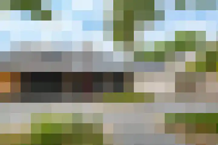 Framboosgaarde 6 Nieuwegein thumbnail 51