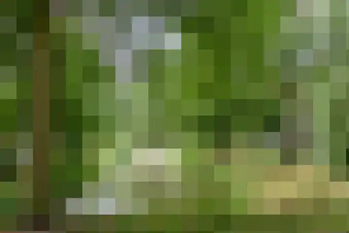 Framboosgaarde 6 Nieuwegein thumbnail 53
