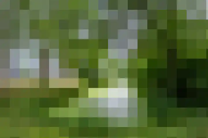 Framboosgaarde 6 Nieuwegein thumbnail 54