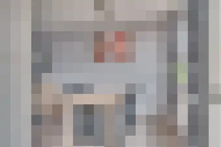 Framboosstraat 1 Venlo thumbnail 16