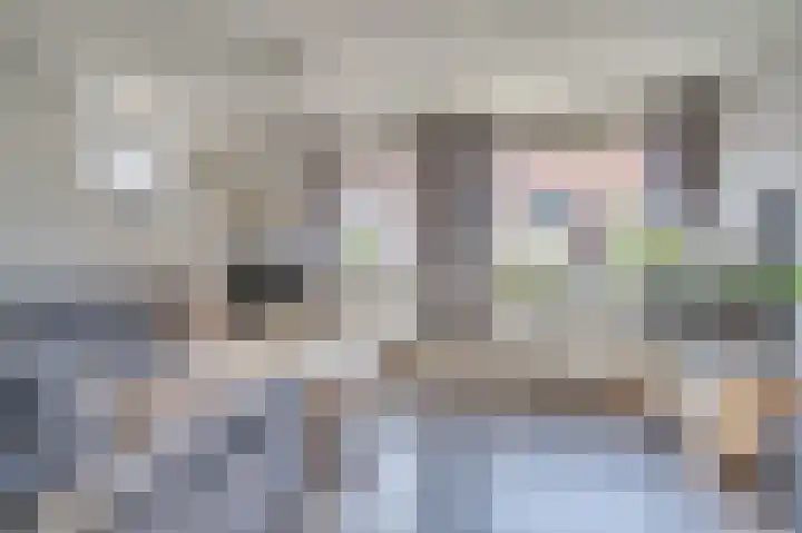 Framboosstraat 1 Venlo thumbnail 7