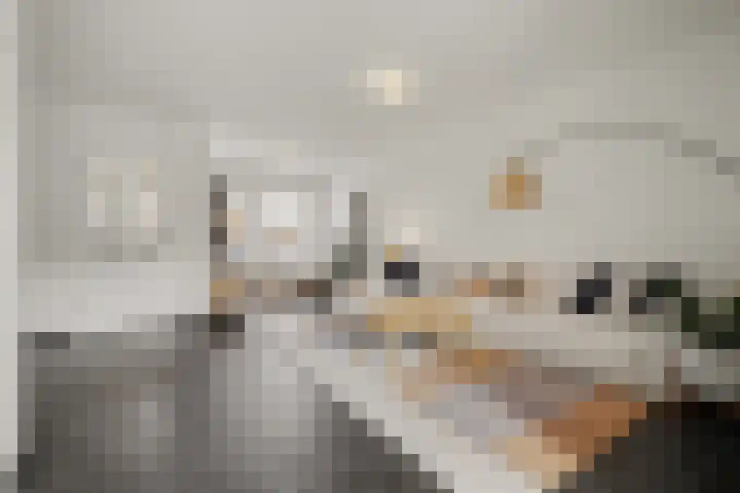 Framboosstraat 22 Venlo thumbnail 11