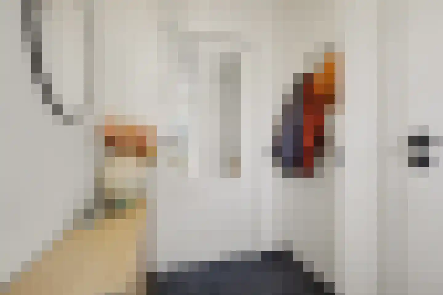 Framboosstraat 22 Venlo thumbnail 5