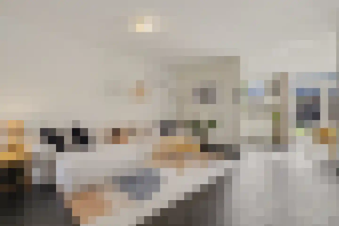 Framboosstraat 22 Venlo thumbnail 7