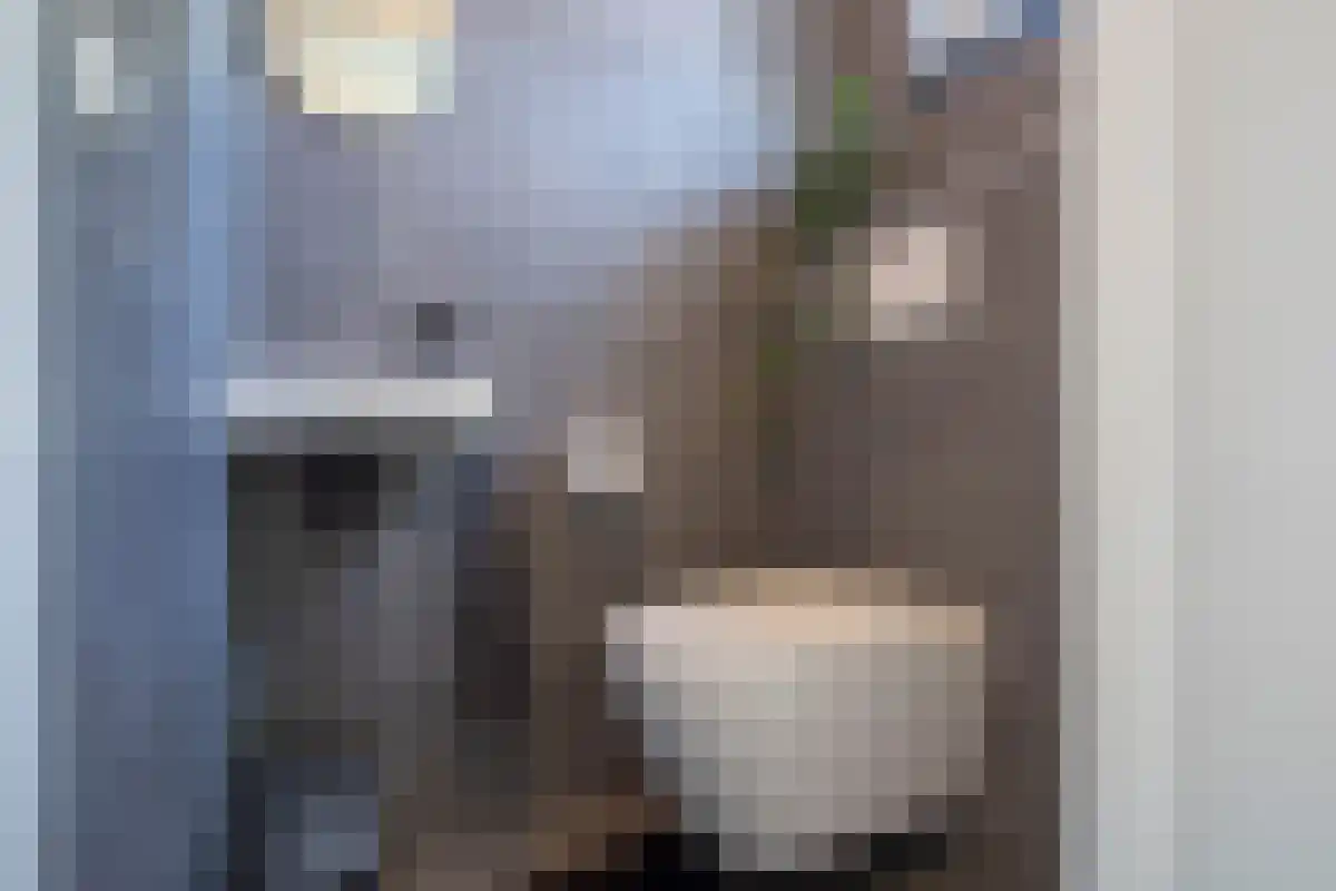 Framboosstraat 30 Venlo thumbnail 10