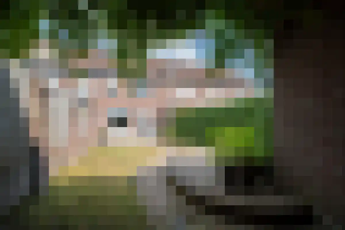 Framboosstraat 30 Venlo thumbnail 4