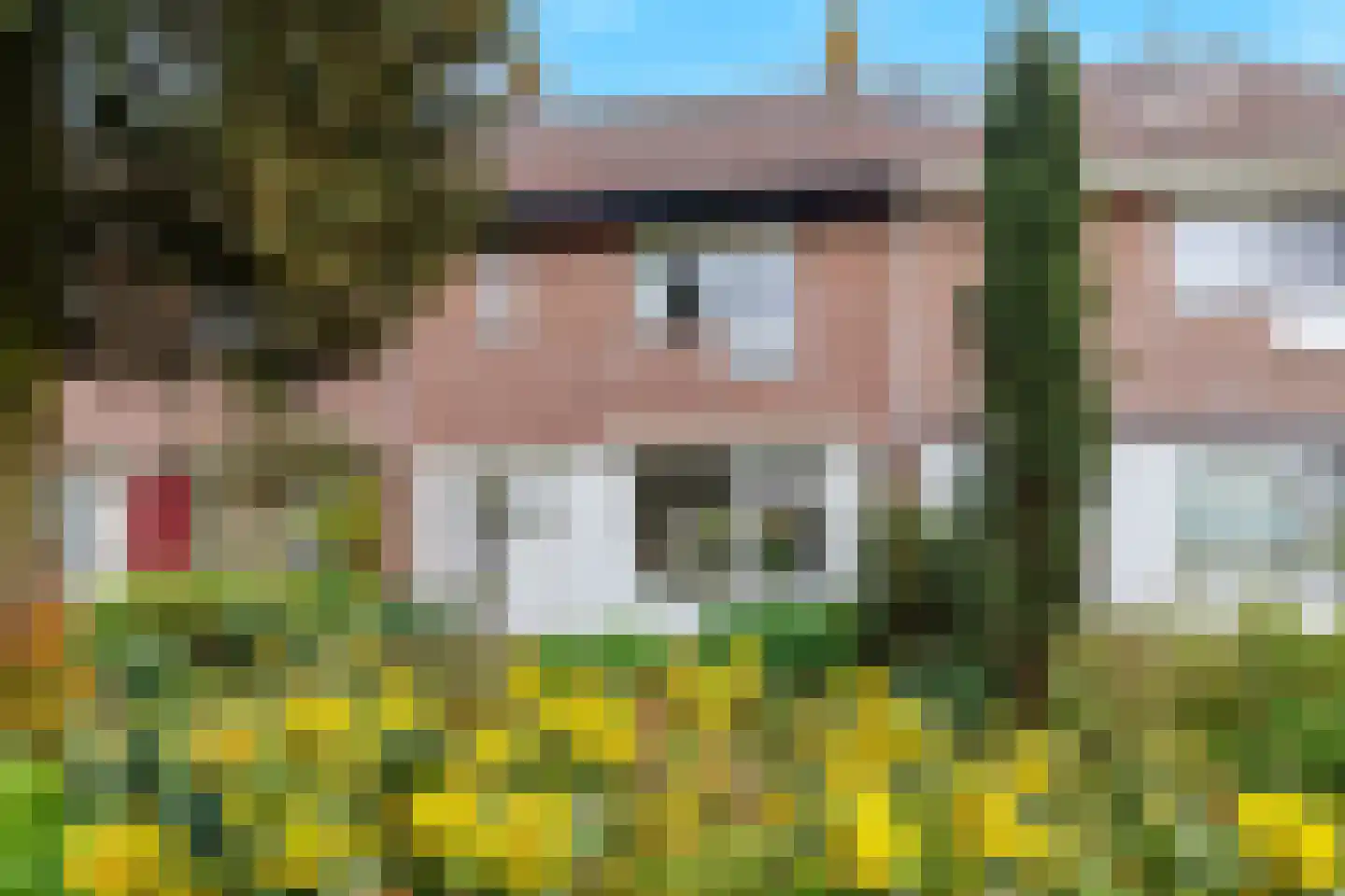 Frambozengaard 43 Wijk bij Duurstede