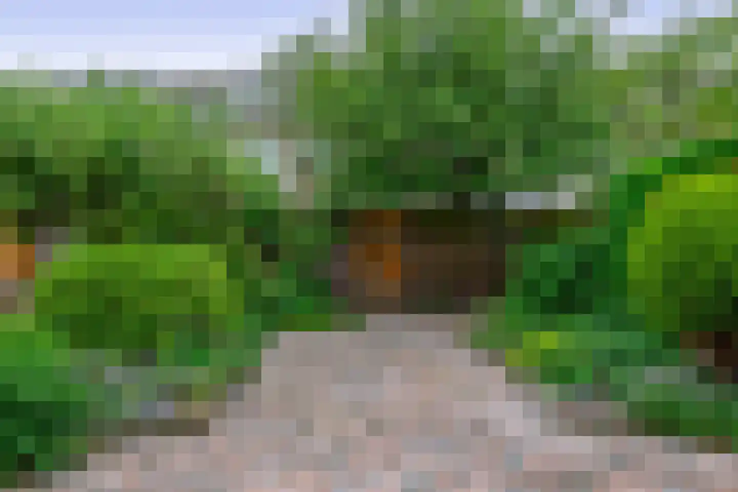 Frambozengaarde 4 Schiedam thumbnail 14