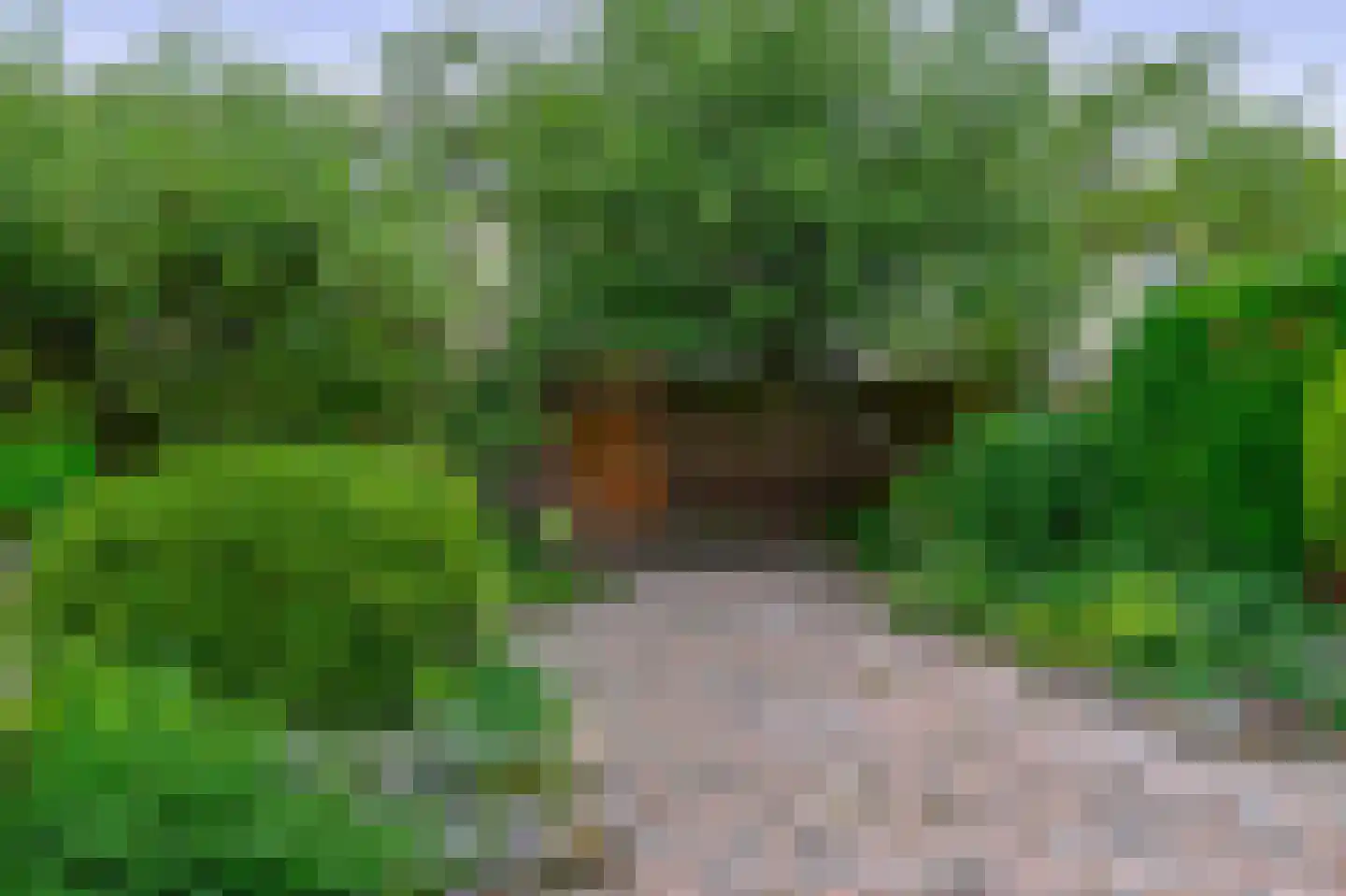 Frambozengaarde 4 Schiedam thumbnail 15