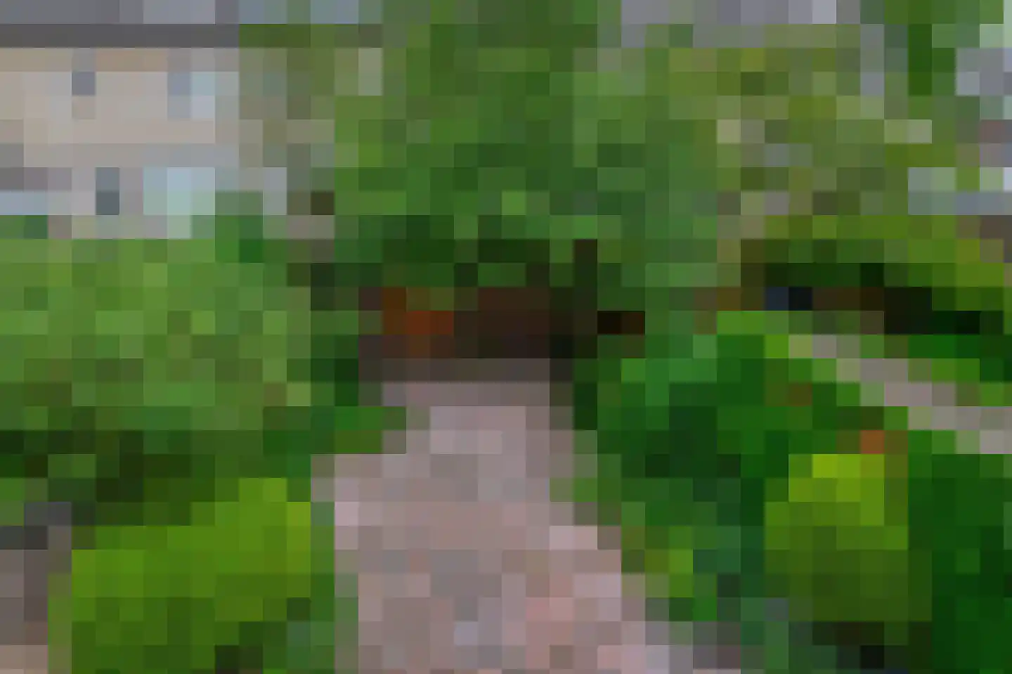 Frambozengaarde 4 Schiedam thumbnail 30