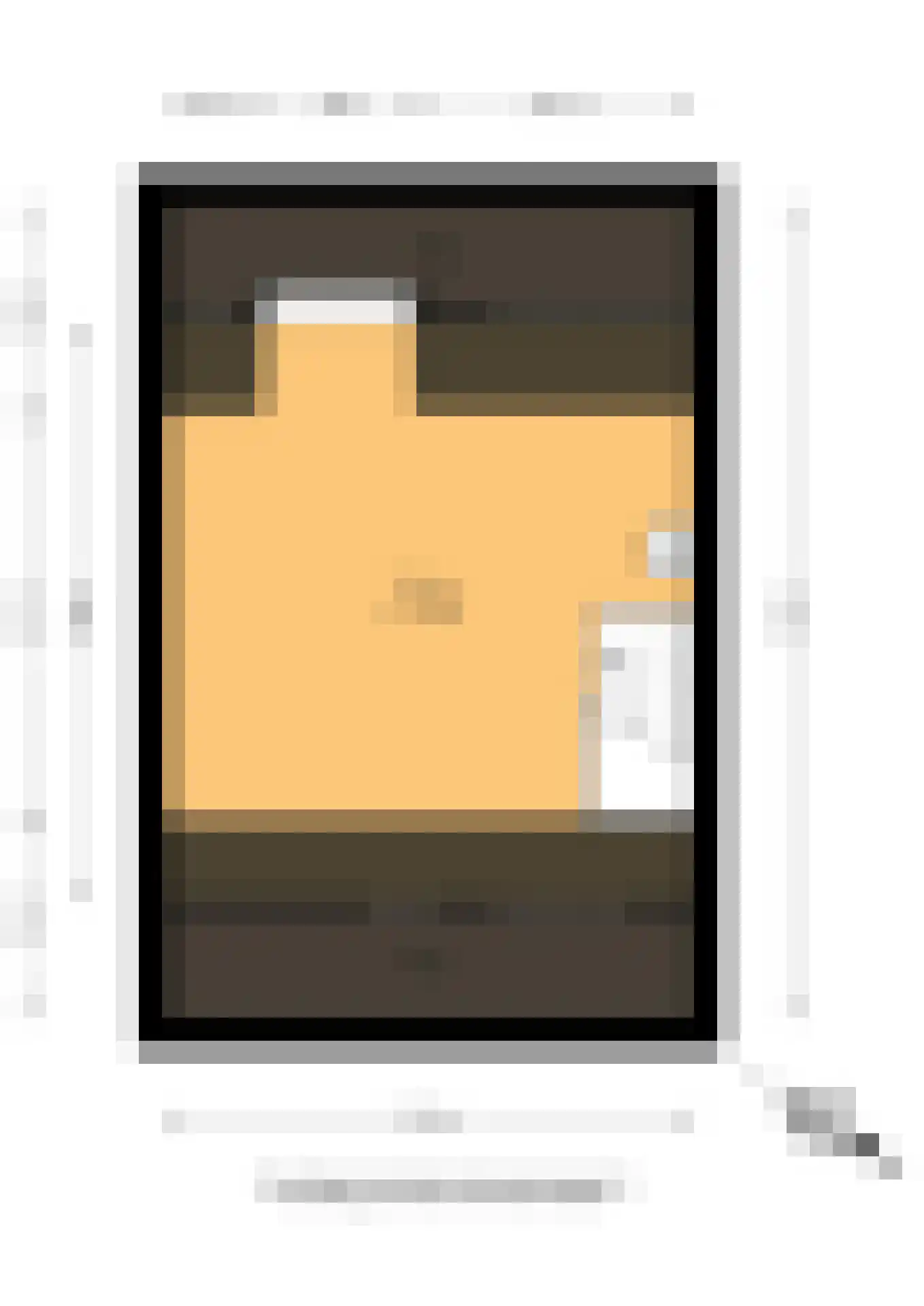 Frambozengaarde 4 Schiedam thumbnail 38