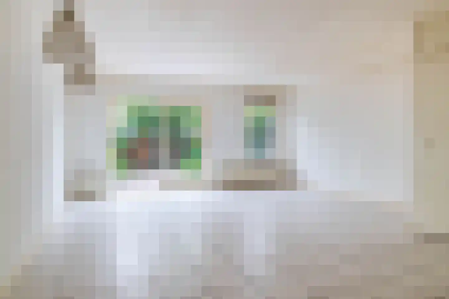 Frambozengaarde 4 Schiedam thumbnail 8