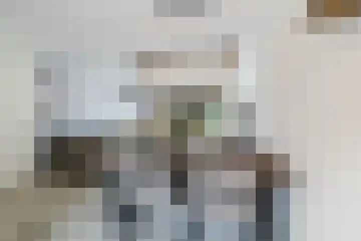 Frambozengaarde 7 Schiedam thumbnail 12