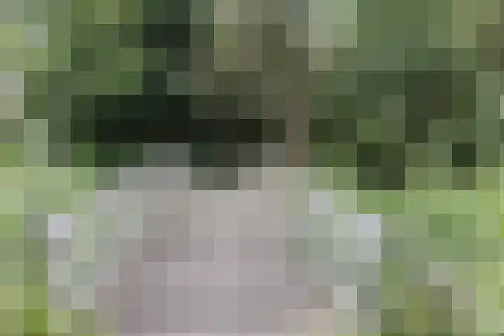 Frambozengaarde 7 Schiedam thumbnail 39
