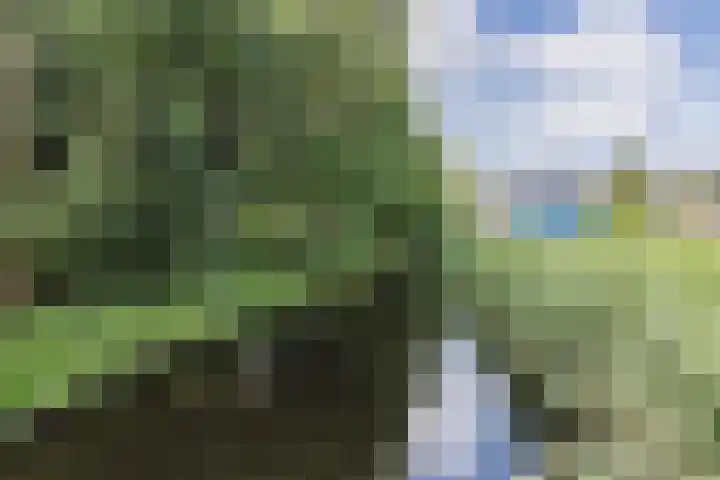Frambozengaarde 7 Schiedam thumbnail 40