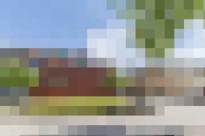 Frambozengaarde 7 Schiedam thumbnail 41