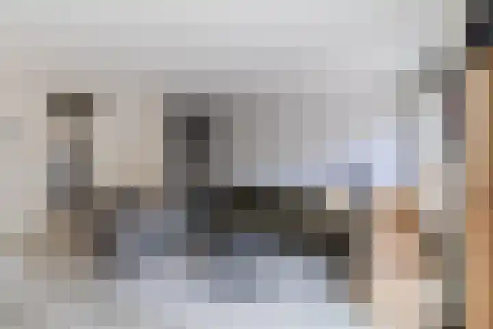 Frambozengaarde 7 Schiedam thumbnail 9