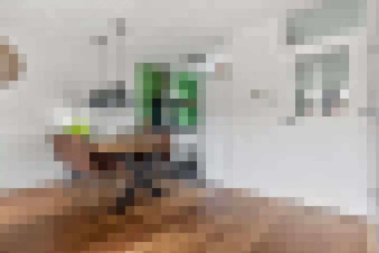 Frambozenlaan 68 Apeldoorn thumbnail 11