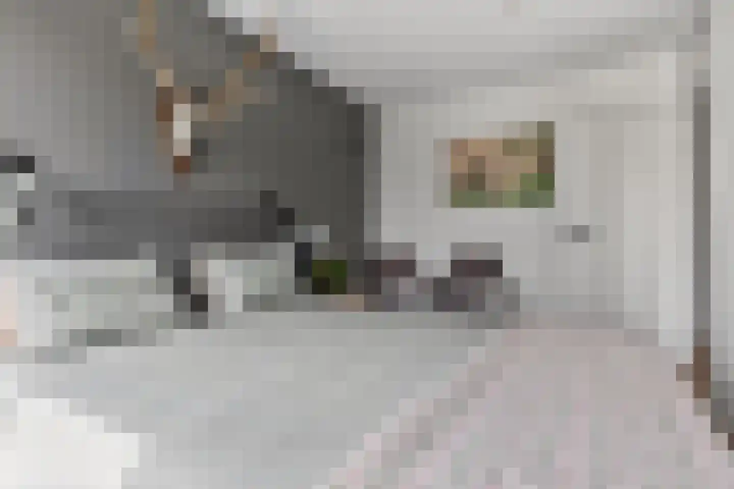 Frambozenlaan 68 Apeldoorn thumbnail 19