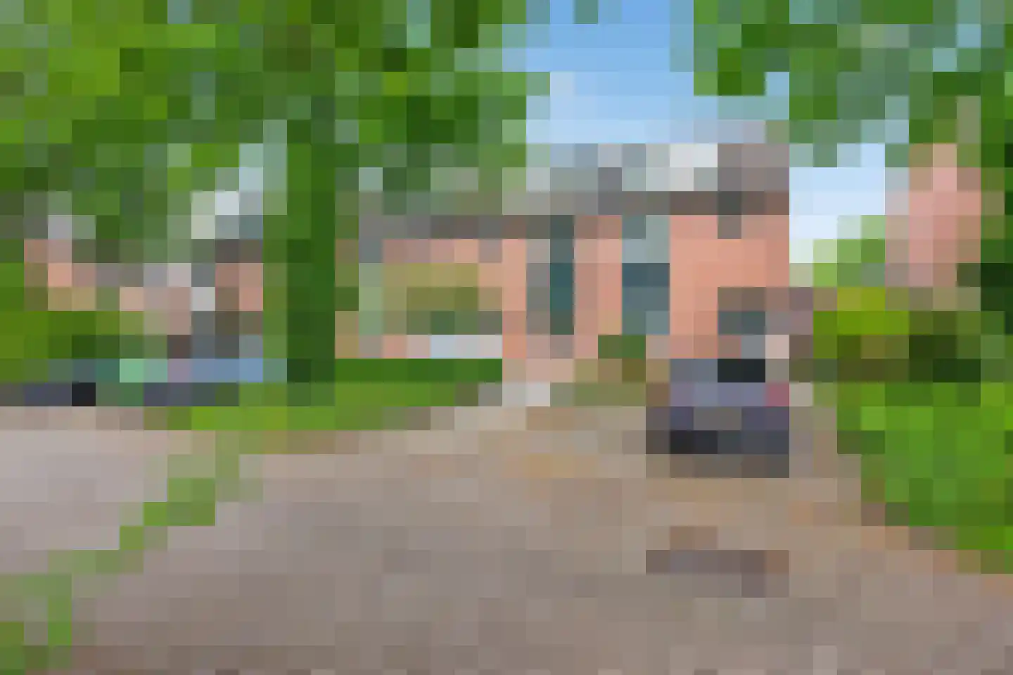 Frambozenlaan 68 Apeldoorn thumbnail 32