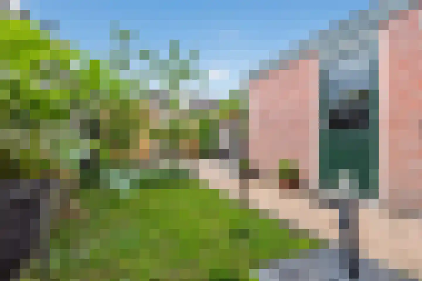 Frambozenlaan 68 Apeldoorn thumbnail 35