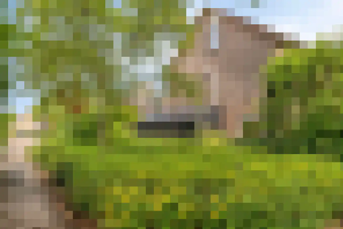 Frambozenlaan 99 Apeldoorn thumbnail 26
