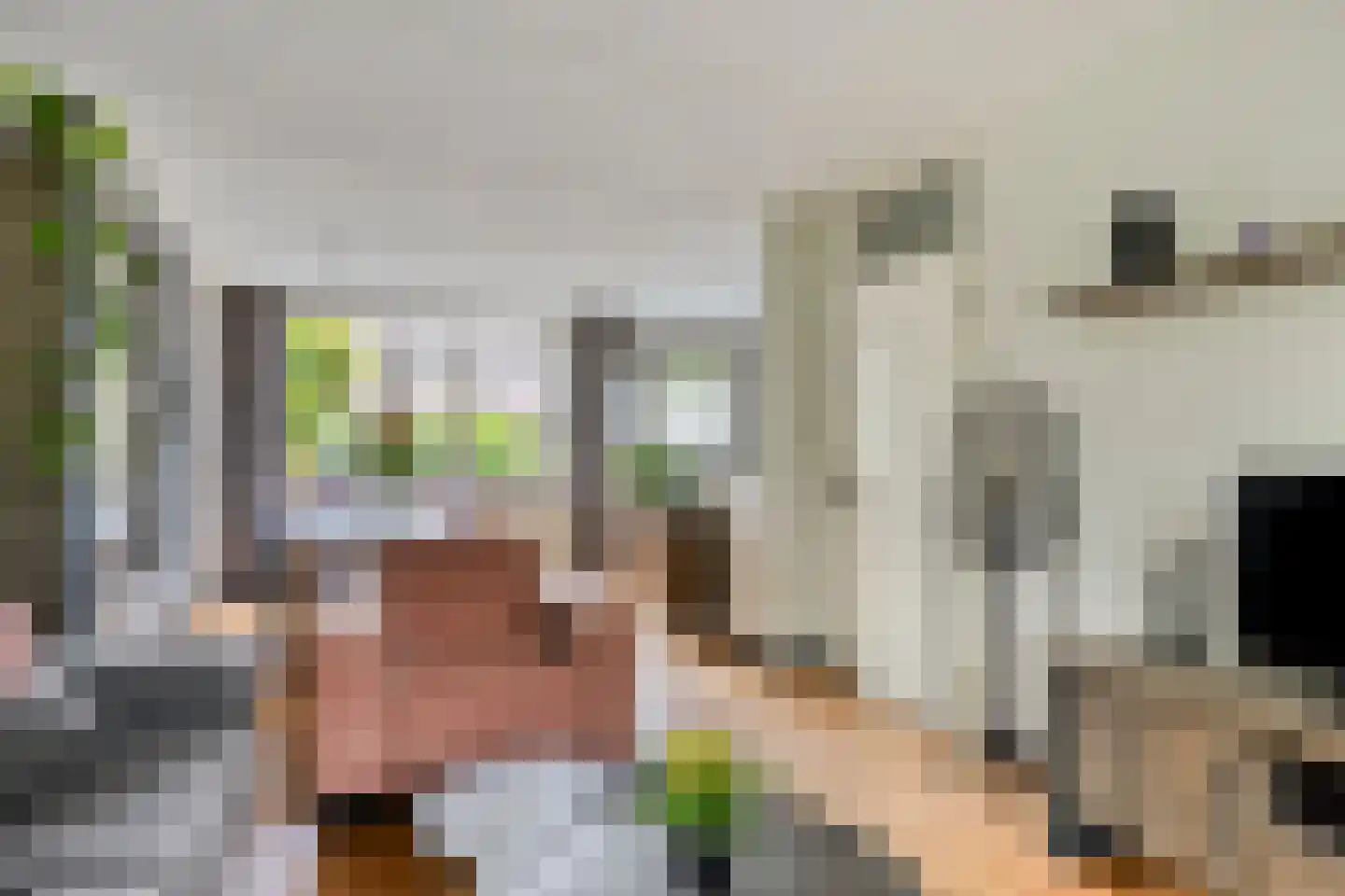 Frambozenlaan 99 Apeldoorn thumbnail 7