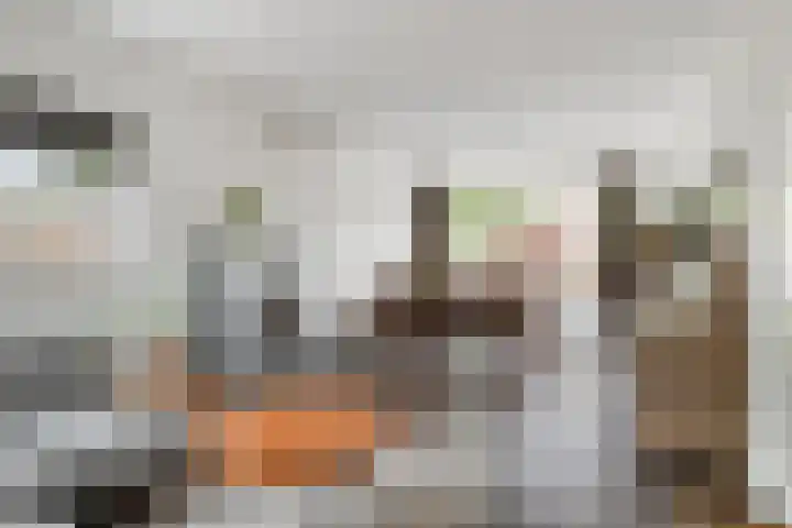 Frambozenstraat 12 Eindhoven thumbnail 15