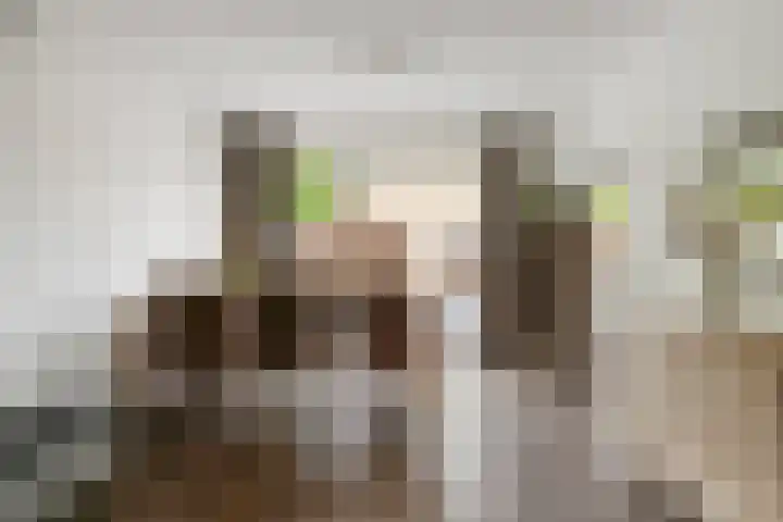 Frambozenstraat 12 Eindhoven thumbnail 17