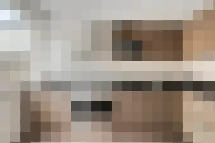 Frambozenstraat 12 Eindhoven thumbnail 19