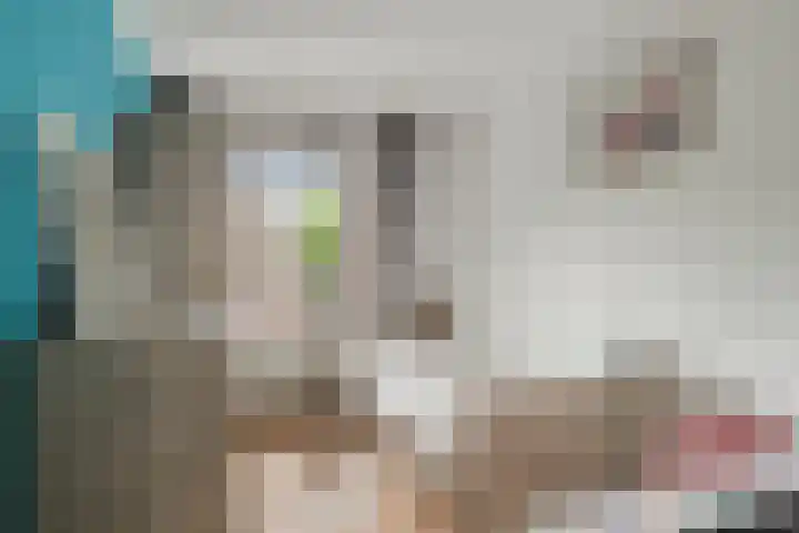 Frambozenstraat 12 Eindhoven thumbnail 26
