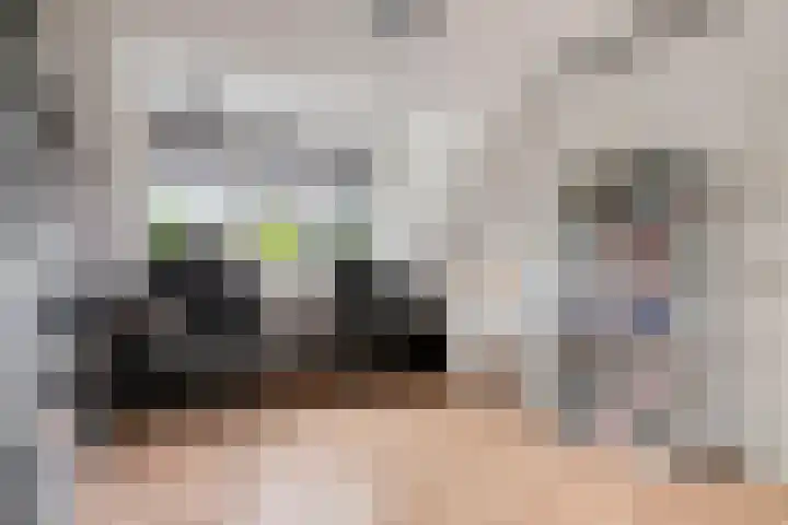 Frambozenstraat 12 Eindhoven thumbnail 32