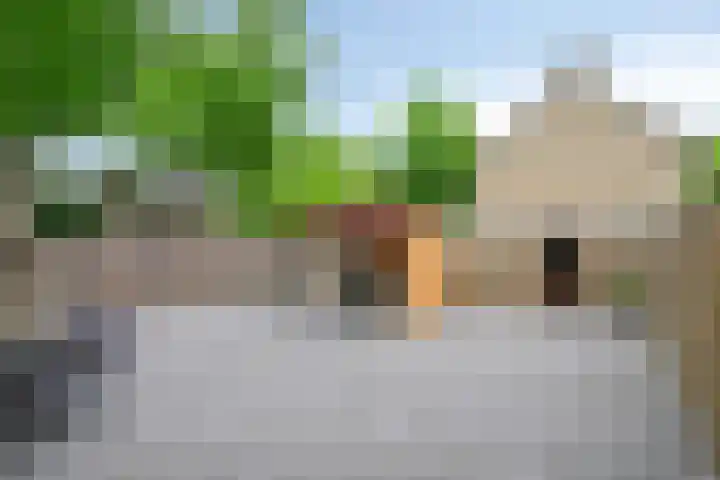 Frambozenstraat 12 Eindhoven thumbnail 33