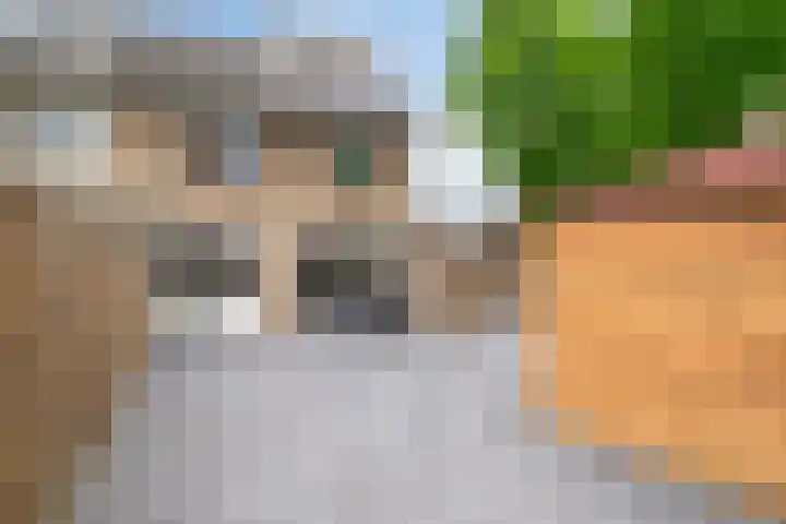 Frambozenstraat 12 Eindhoven thumbnail 37
