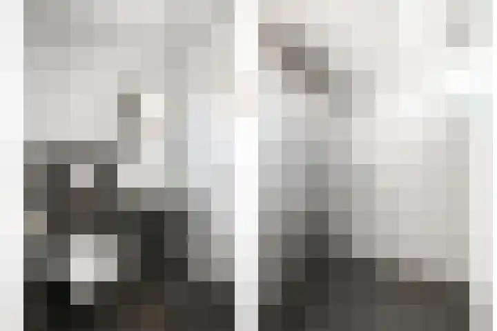 Frambozenstraat 12 Eindhoven thumbnail 4