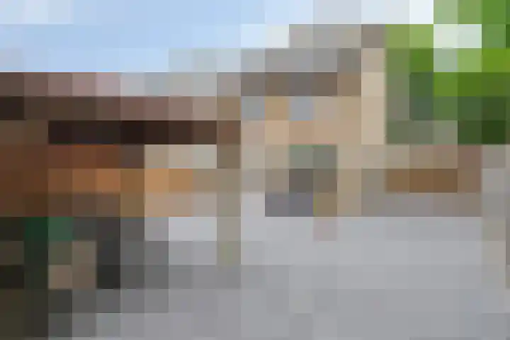 Frambozenstraat 12 Eindhoven thumbnail 5