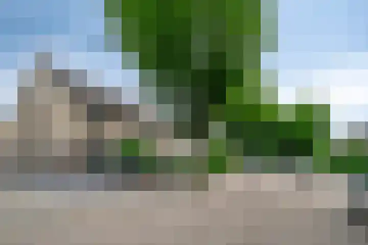 Frambozenstraat 12 Eindhoven thumbnail 6