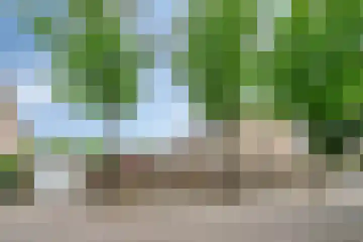 Frambozenstraat 12 Eindhoven thumbnail 9